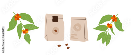 Set of coffee packaging. Arabica or robusta pack with various labels design. Hand drawn paper bag with coffee bean. Coffee tree branches with leaves and ripe fruits. Vector flat illustration isolated.