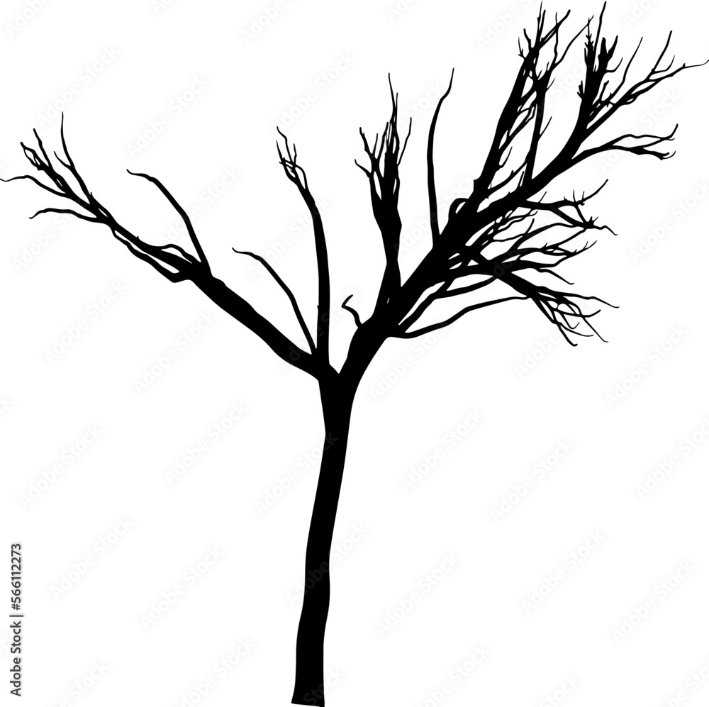 Tree branch silhouette Tree branch silhouette