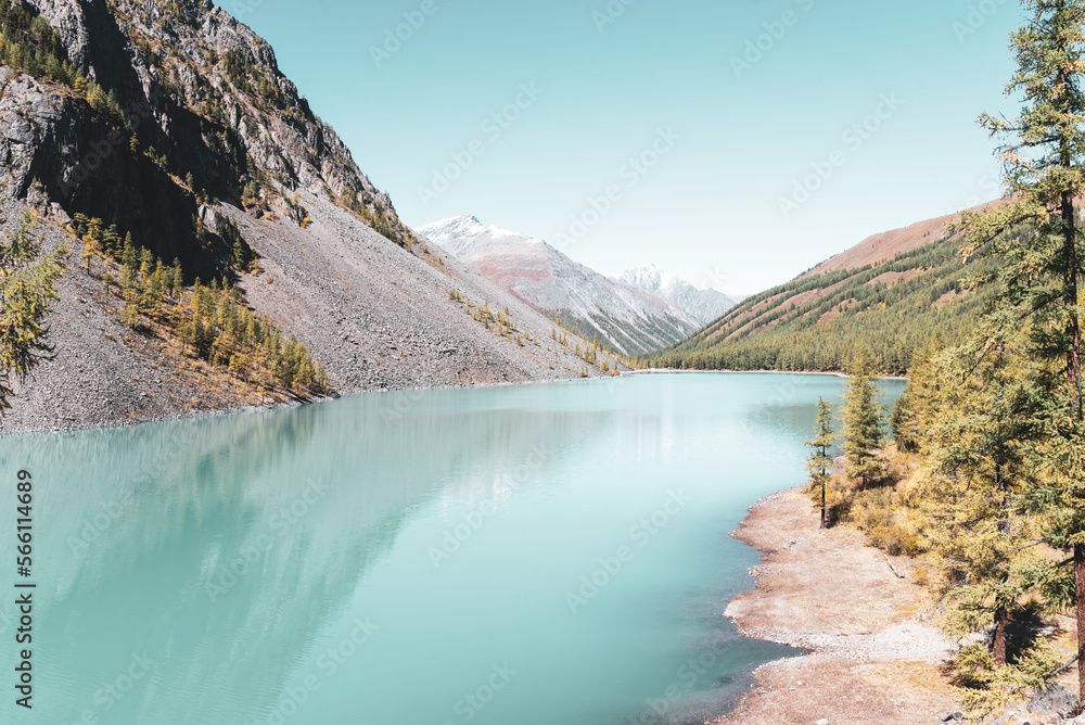 Mountain lake Shavlinsky with stones and trees on the shore on a bright day against the background of peaks in Altai in autumn.