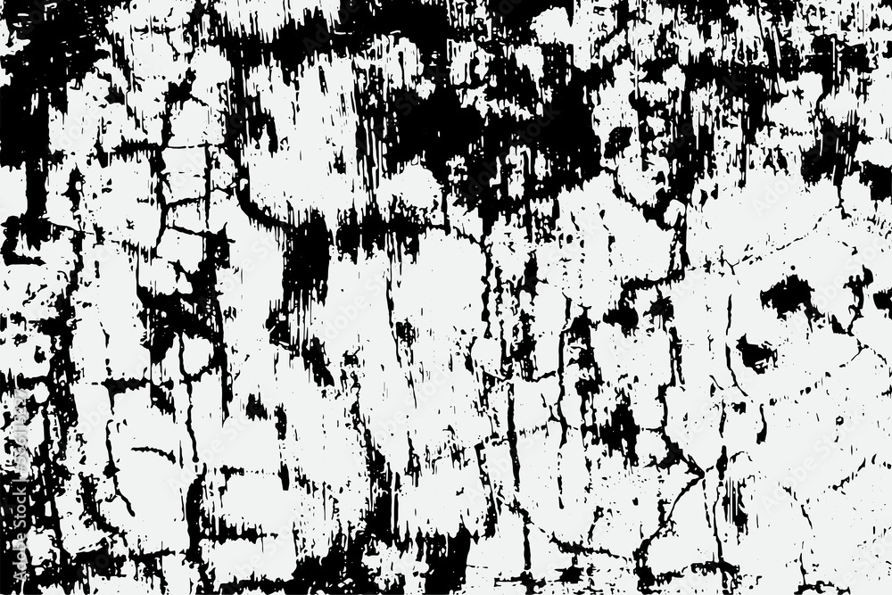 black and white fleck texture, Artistic and natural Texture With Vector EPS format