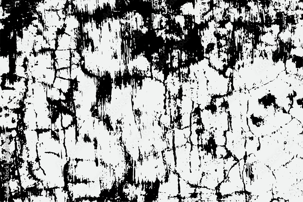 black and white fleck texture, Artistic and natural Texture With Vector EPS format black and white fleck texture, Artistic and natural Texture With Vector EPS format