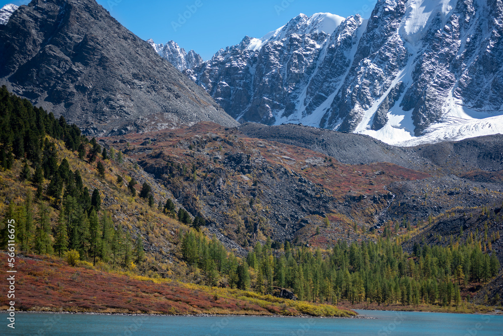 Mountains with snow and glaciers near the forest on the shore of the lake in Altai.