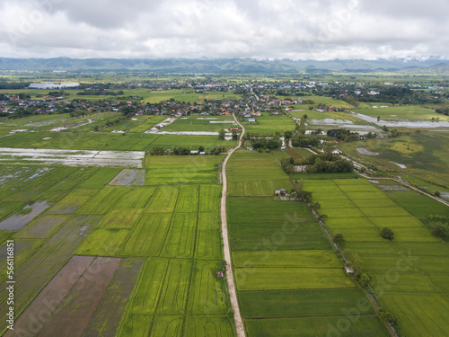 Aerial view of rice field in Pa Daet district in Chiang Rai province of Thailand.