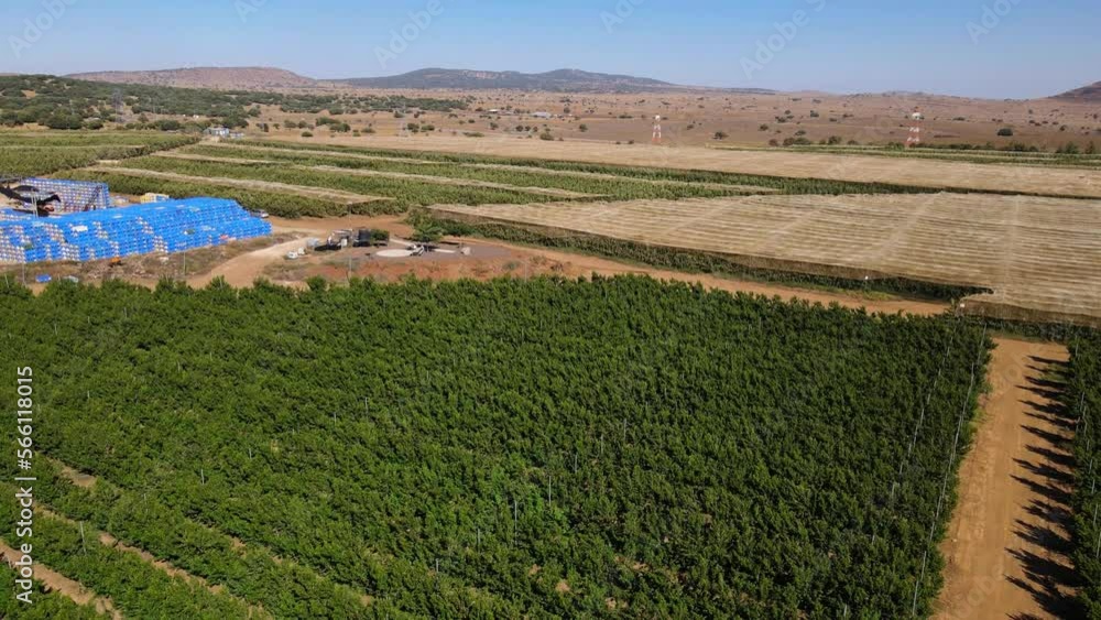 Pulling back drone view, apple tree and nectarine farm with packing bins, Israel Pulling back drone view, apple tree and nectarine farm with packing bins, Israel