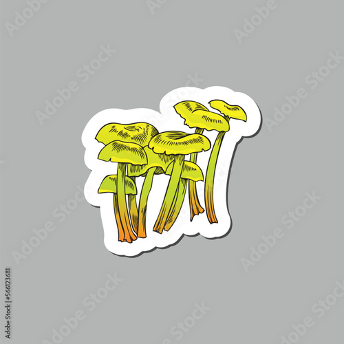 Toxic hallucinogenic mushrooms, hand drawn sketch vector illustration isolated on gray background.
