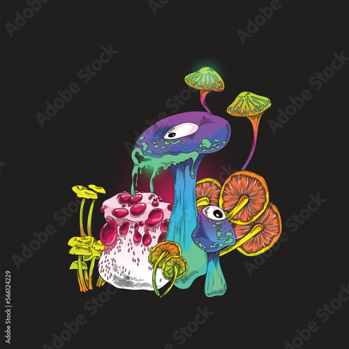 Toadstools and poisonous fly agaric fungi bright vector illustration isolated.