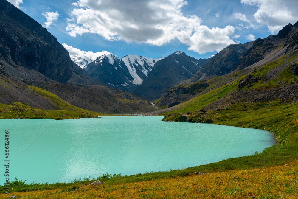 Turquoise clear water of the Karakabak river among stones and grass in the Altai mountains with mountain peaks with glaciers and snow under the clouds and green grass.