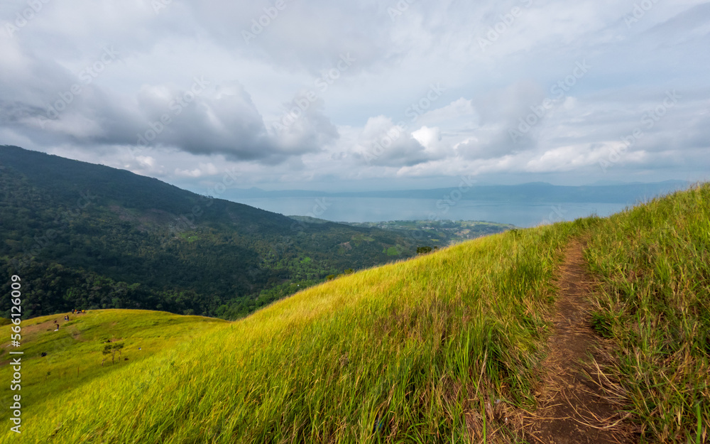 landscape with grass and sky