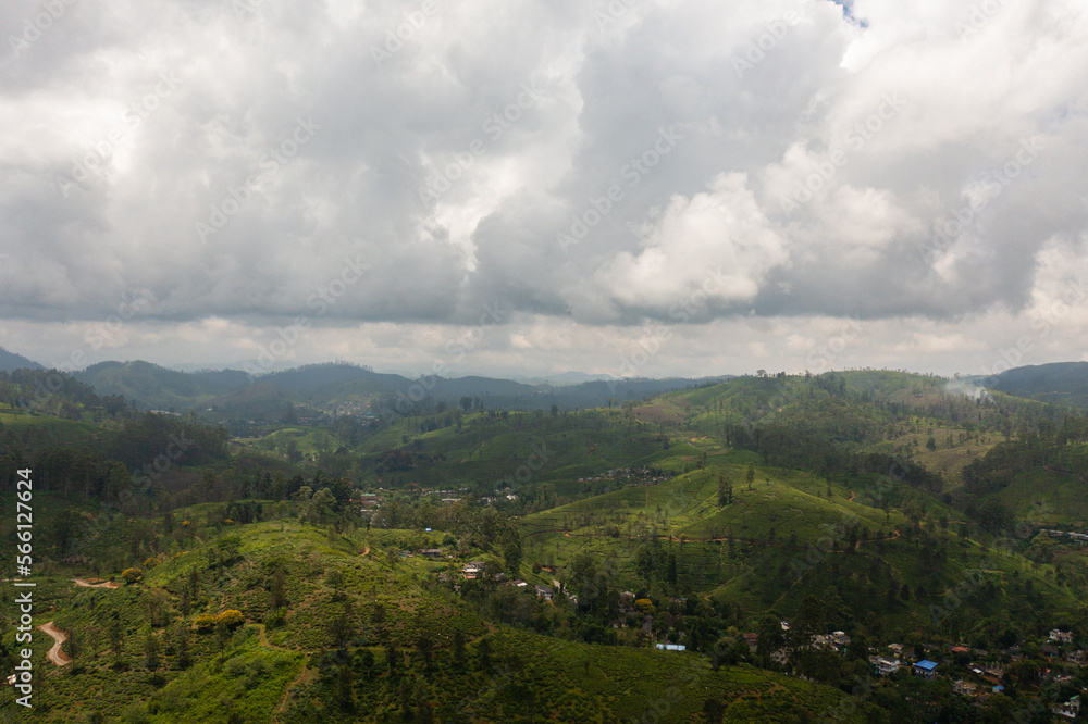 Obraz premium Aerial view of Farmers' houses among tea estates in the mountains. Maskeliya. Tea plantations in Sri Lanka.