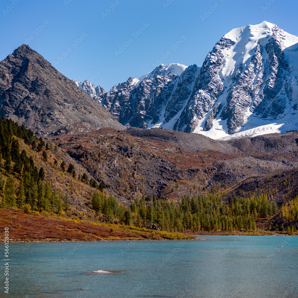 Large mountain peaks with snow and tongues of glaciers near the forest and Lake Shavlinskoye in Altai.