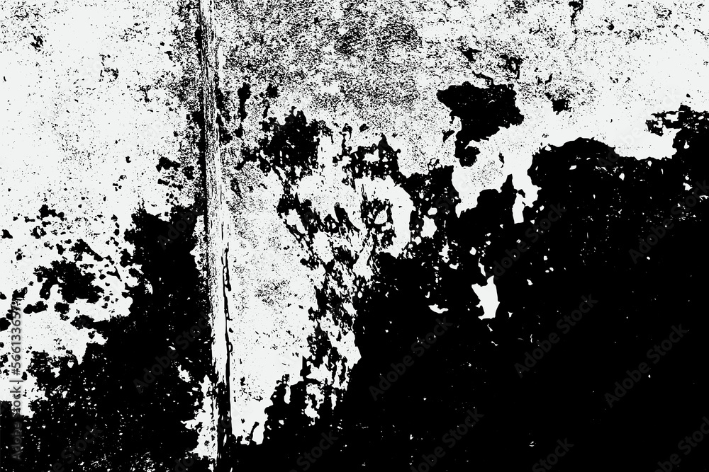 black and white fleck texture, Artistic and natural Texture With Vector EPS format