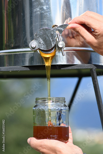 Honey Extraction