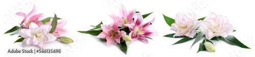 Collage of beautiful pink lilies on white background
