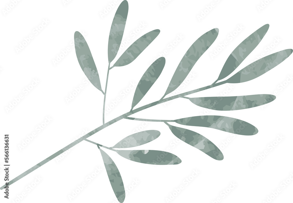 Watercolor leaf branch Watercolor leaf branch