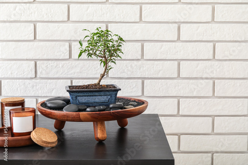 Stand with Bonsai tree and ...