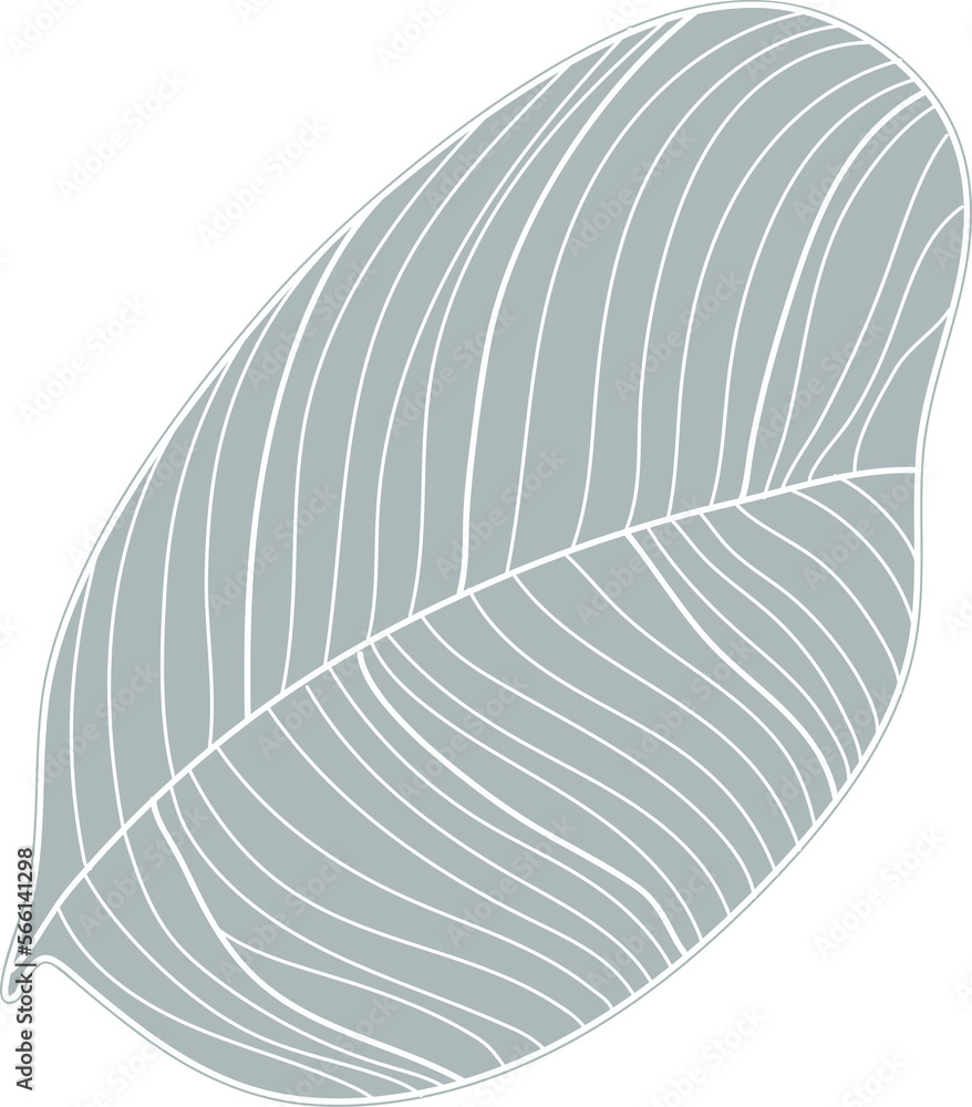 Palm leaf line art Palm leaf line art