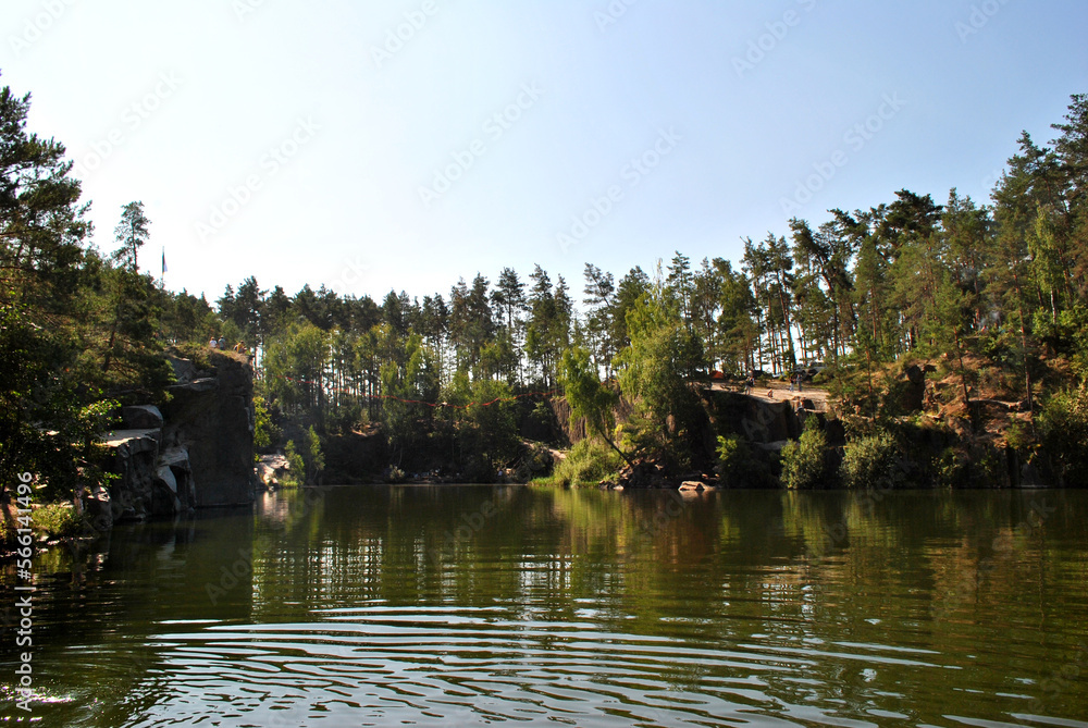 Fototapeta premium reflection of trees in water