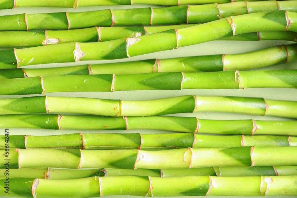 Green bamboo stems on color background, closeup Green bamboo stems on color background, closeup