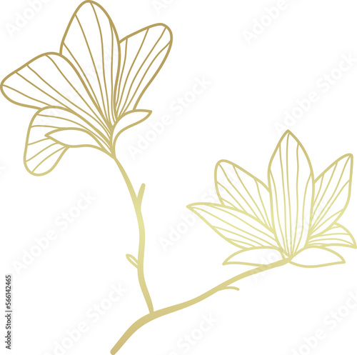 Botanical flower gold line art