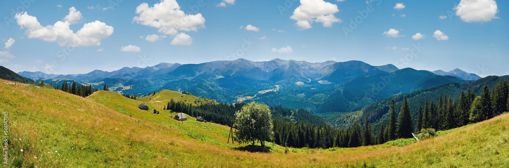 Fototapeta premium Summer mountain panorama (Carpathian, Ukraine) with flowering grassland in front