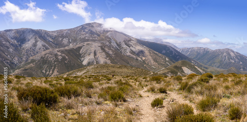 Scenery of Torlesse Tussocklands Park