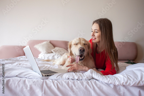 young girl lies on bed with a golden retriever dog and uses laptop, female freelancer with a pet looks at the computer