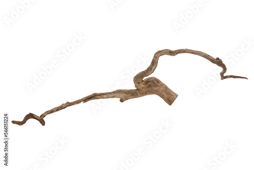 Piece of a root / trunk with many thin branches, river wood, driftwood, aquarium design element - isolated on transparent background - png - image compositing footage - alpha channel 