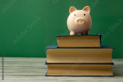 Piggy bank and book. College fees saving concept, copy space for text