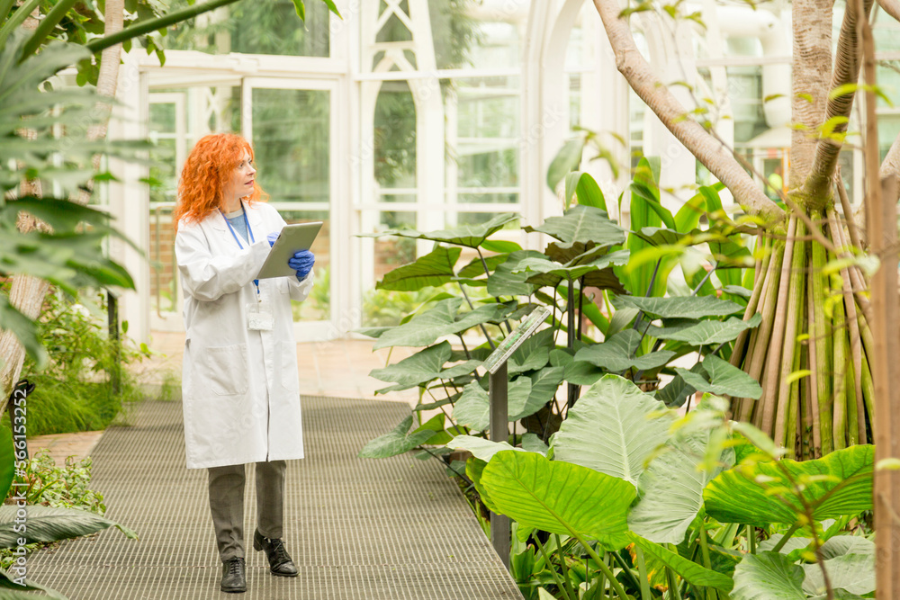 Obraz premium Scientist taking inventory in a greenhouse using a digital tablet