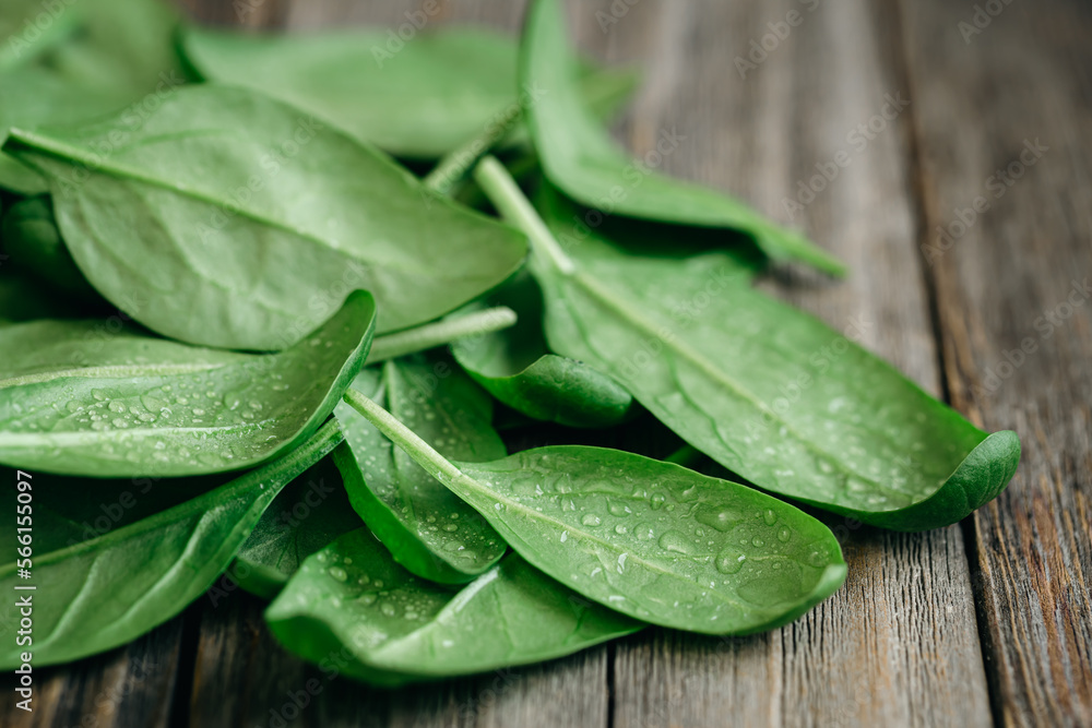 Wet fresh green baby spinach leaves on a wooden background. Wet fresh green baby spinach leaves on a wooden background.
