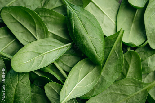 Fresh green baby spinach leaves, natural background.