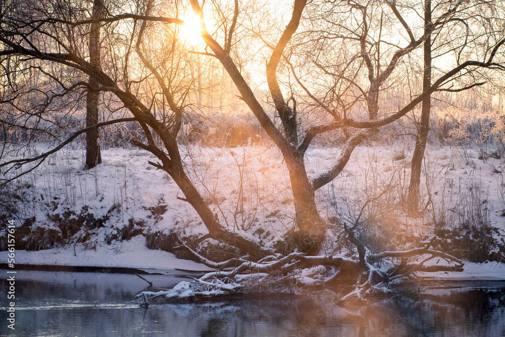 Early spring. Landscape of river and woodland on froze morning. Sunbeams beat through tree branches.