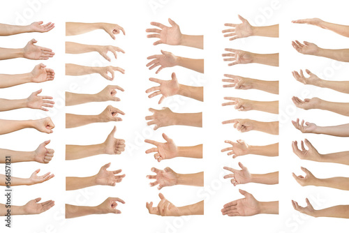 Collection of human hands in multiple gesture on transparent background PNG file #566157821