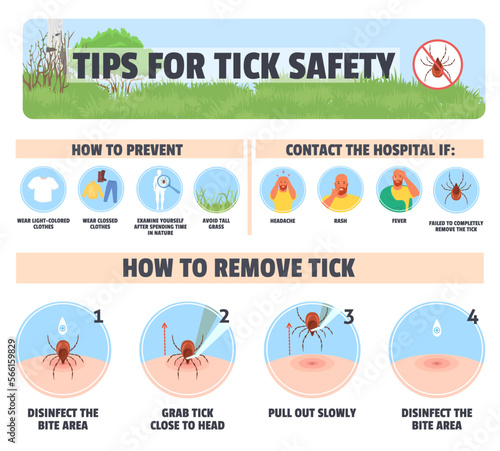 Tips for tick safety vector infographic design