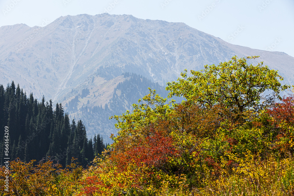 Mmountain range in the gorge near Almaty. Diverse landscape