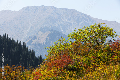 Obraz na płótnie Mmountain range in the gorge near Almaty. Diverse landscape w salonie