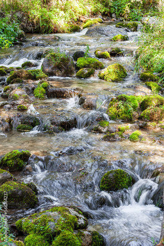 Mountain stream in the mountains of Kazakhstan