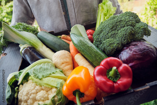 Fresh and organic vegetables in box held by delivery person