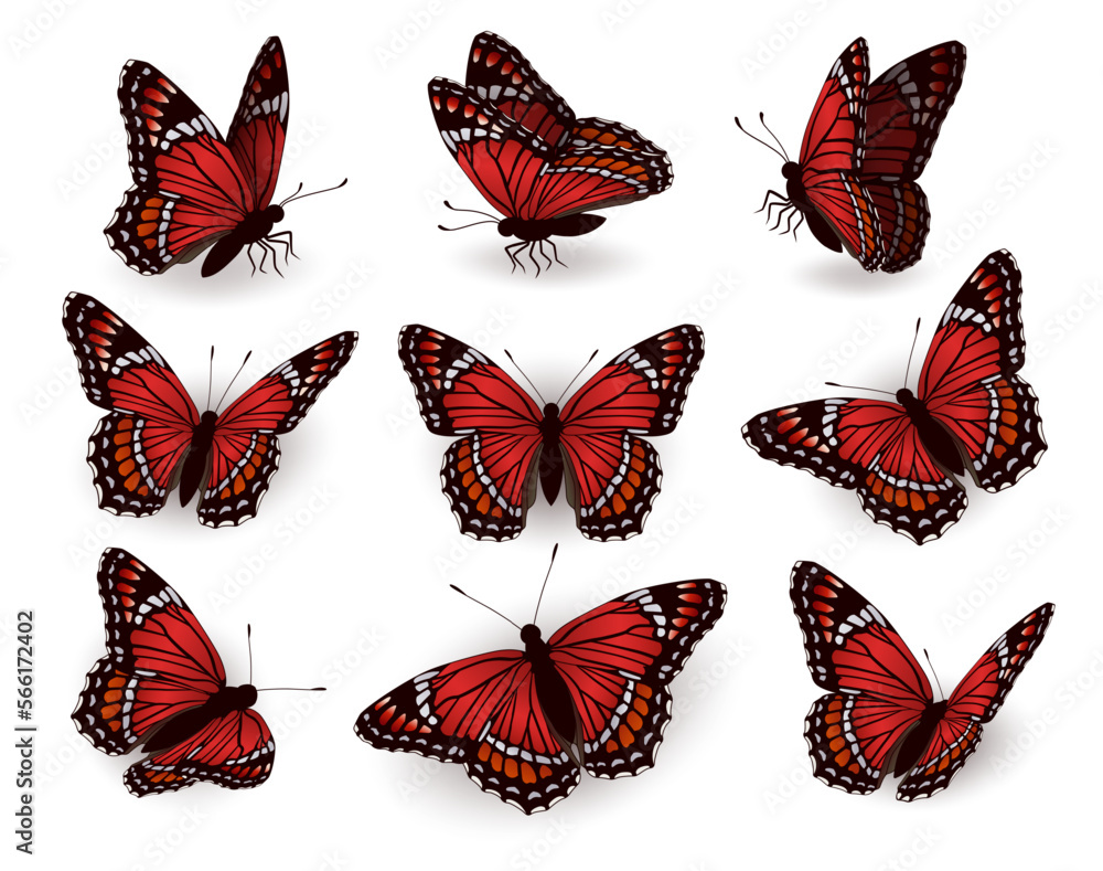 Photography Poster Set of red butterflies flying in different