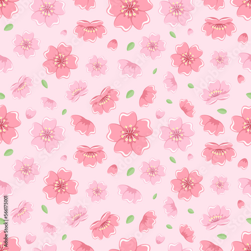 Wallpaper Mural Cherry blossom seamless pattern. Japanese flower pattern vector background. Torontodigital.ca