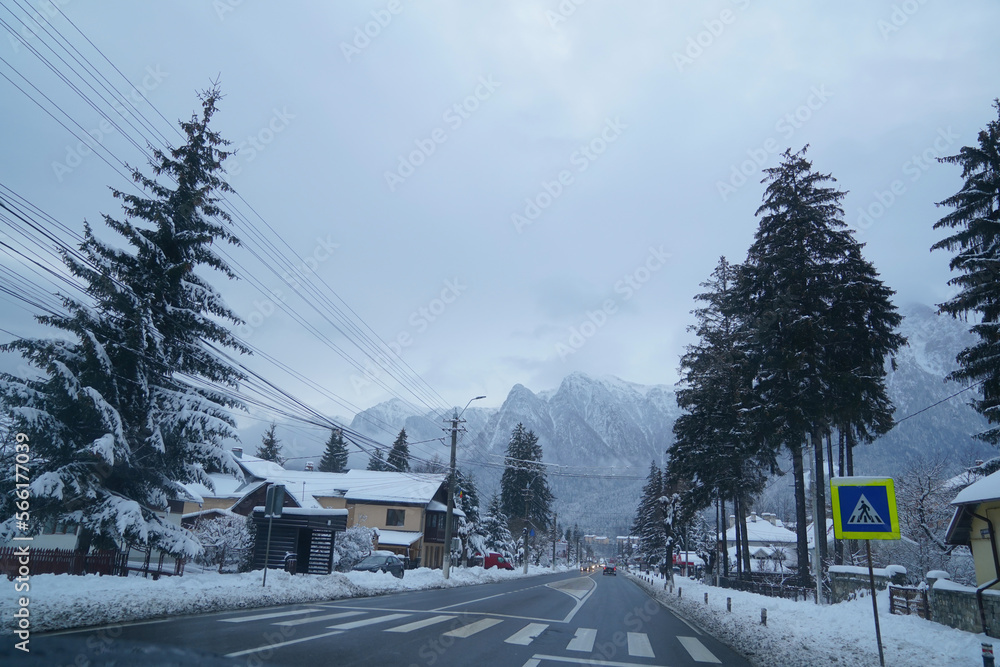 fir trees laden with snow in a mountainous area. detail. winter photography. fir trees laden with snow in a mountainous area. detail. winter photography.