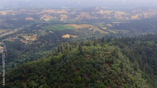 Aerial view of forest landscape above the valley near Healdsburg, California photo