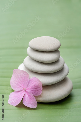 Stone spa treatment scene  zen concept. vertical photo