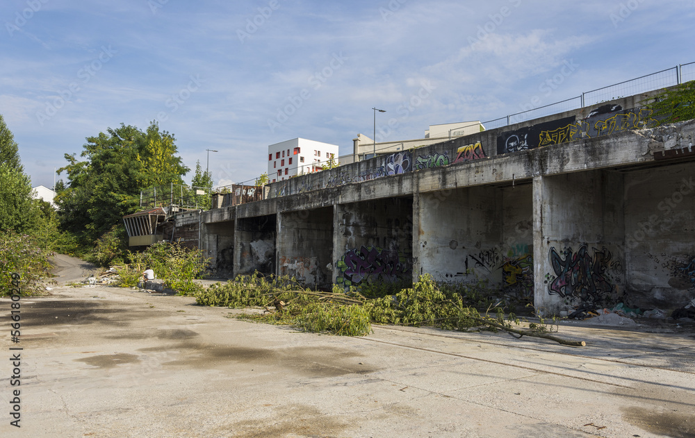 Abandoned place where the vegetation has returned