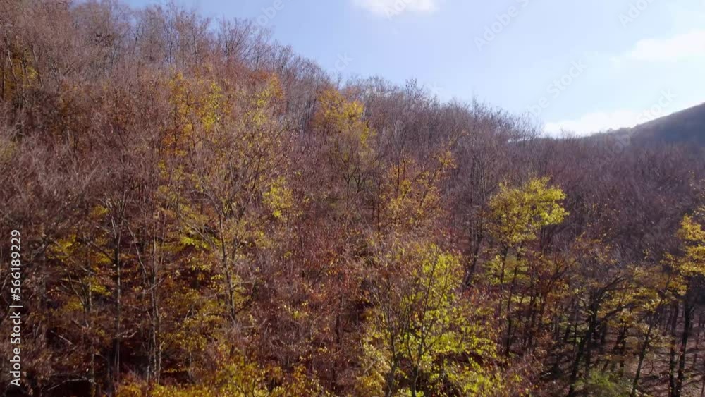 Aerial view on beautiful autumn forest Aerial view on beautiful autumn forest