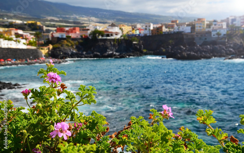 Picturesque view in Alcala village with blooming geranium plants in the foreground in Tenerife, Canary islands,Spain.Selective focus.