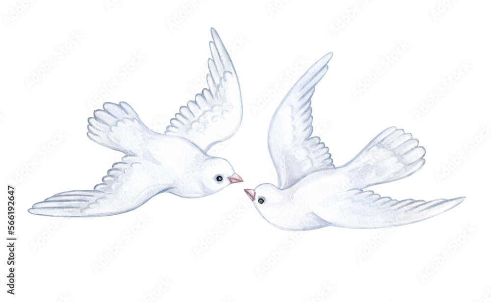 Fototapeta premium Pigeons doves birds isolated on white background. Watercolor illustration. invitation, wedding. Template Clip art