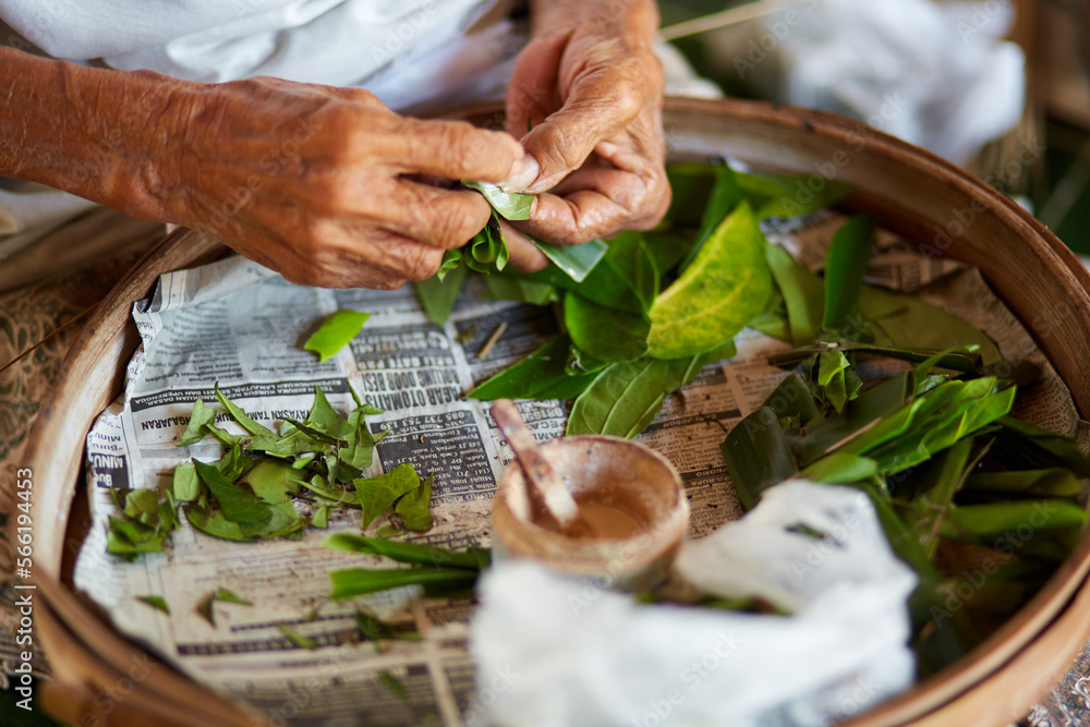 A Balinese woman grinds coca leaves while sitting in her front yard