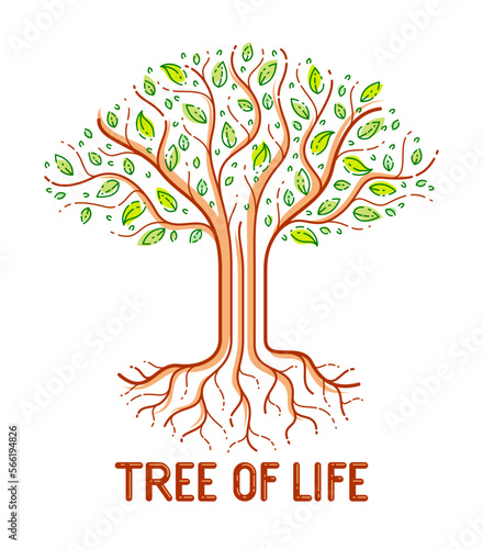 Tree of life, life and deat...