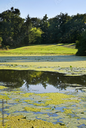 Park of Wilanow (Wilanowski) palace in Warsaw. Poland photo